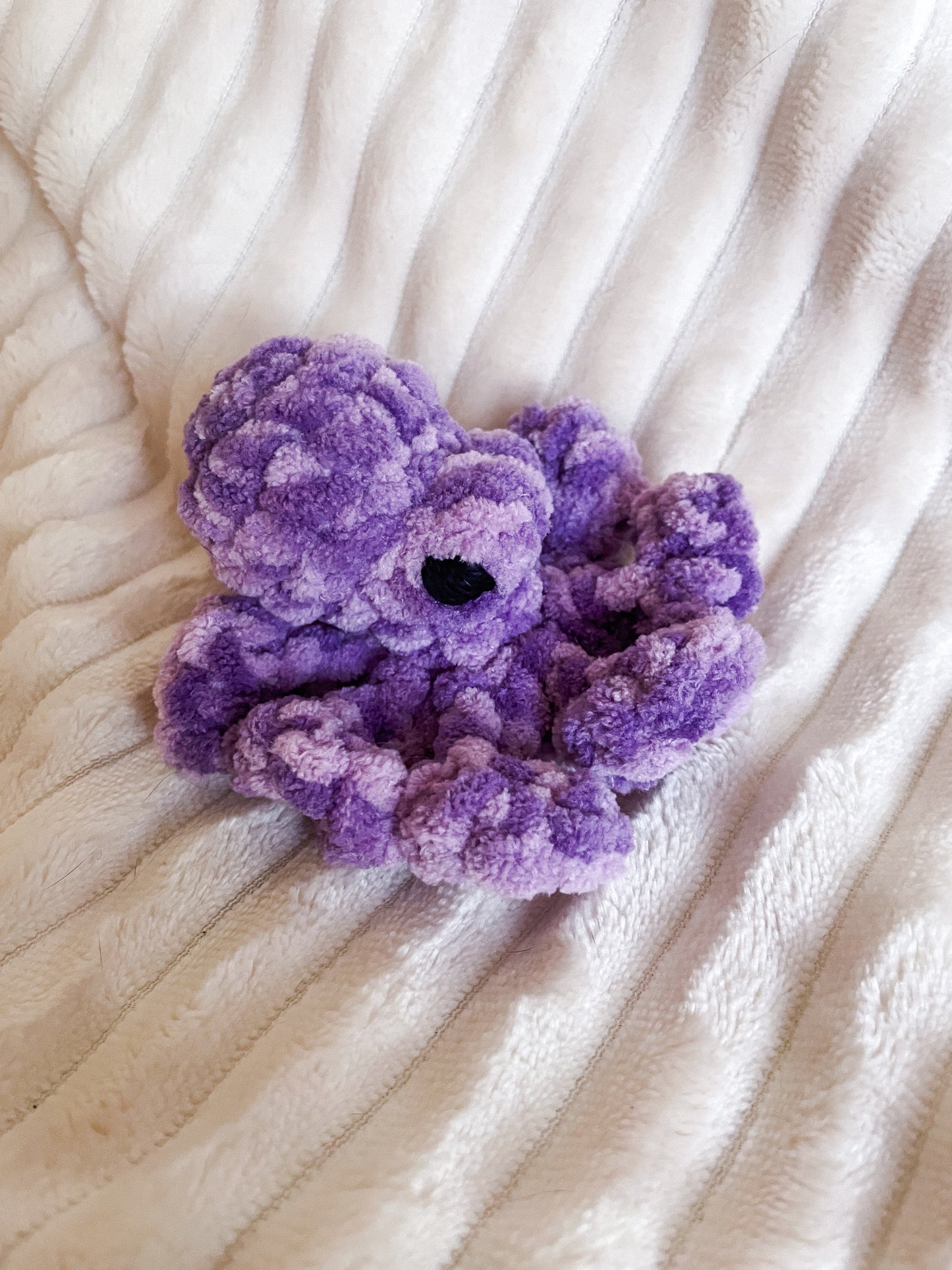 Baby Octopus