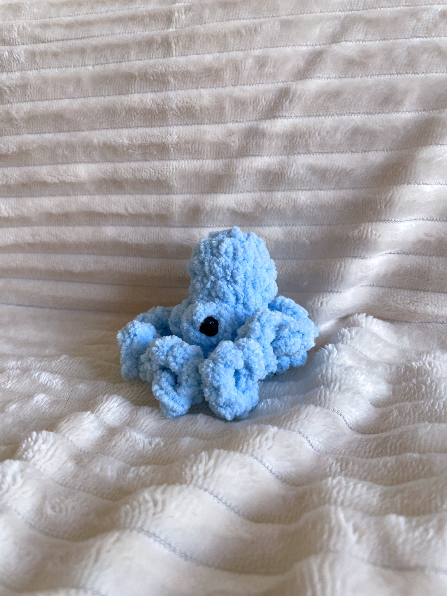 Baby Octopus