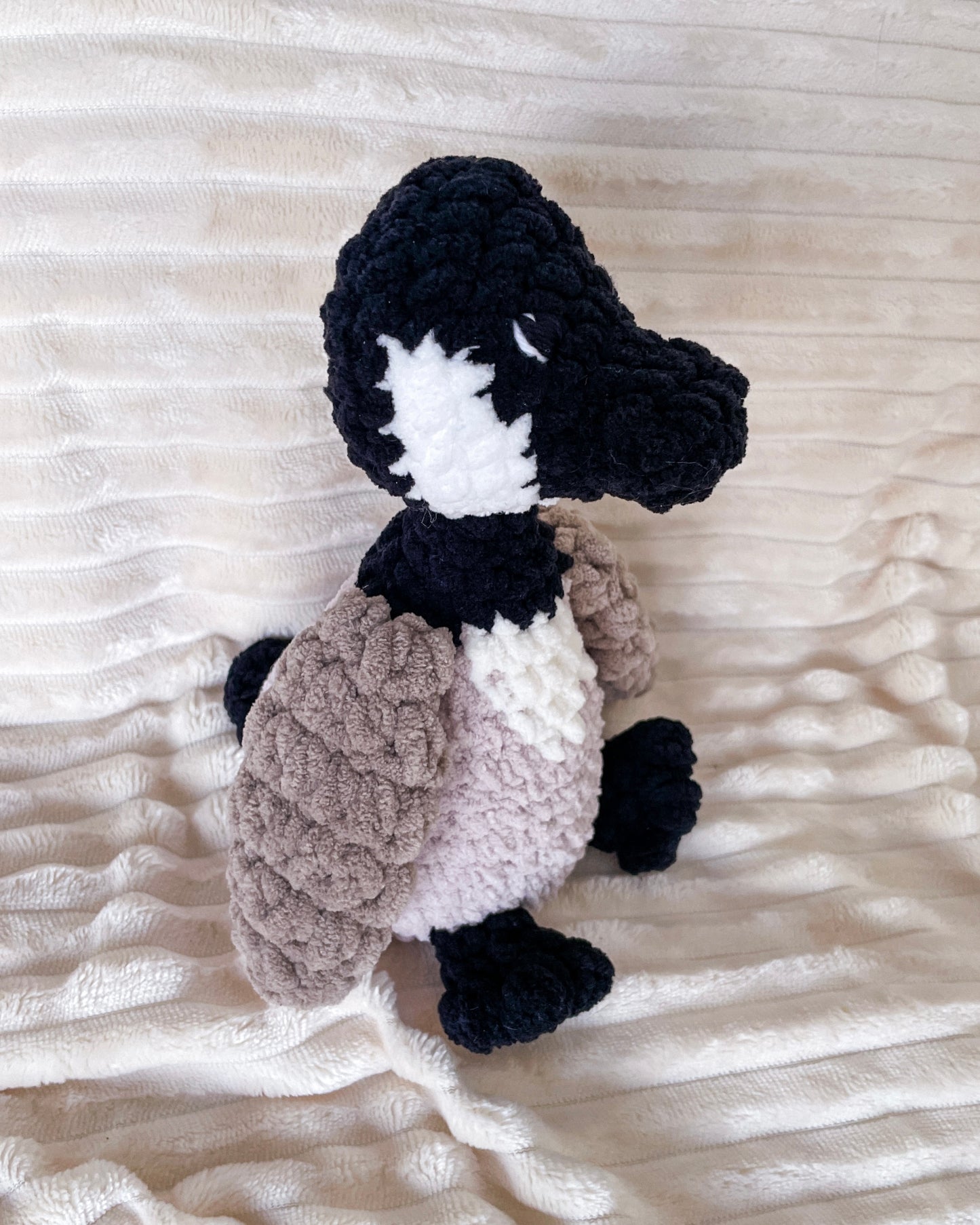 Canadian Goose