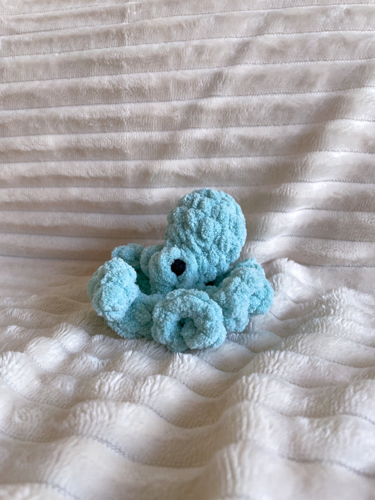 Baby Octopus