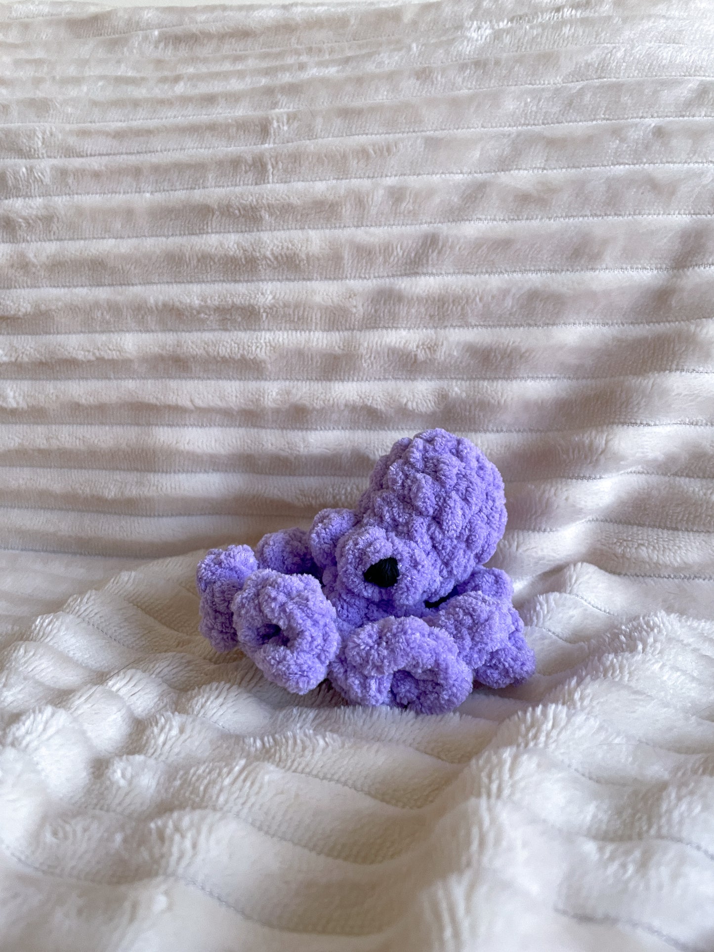 Baby Octopus