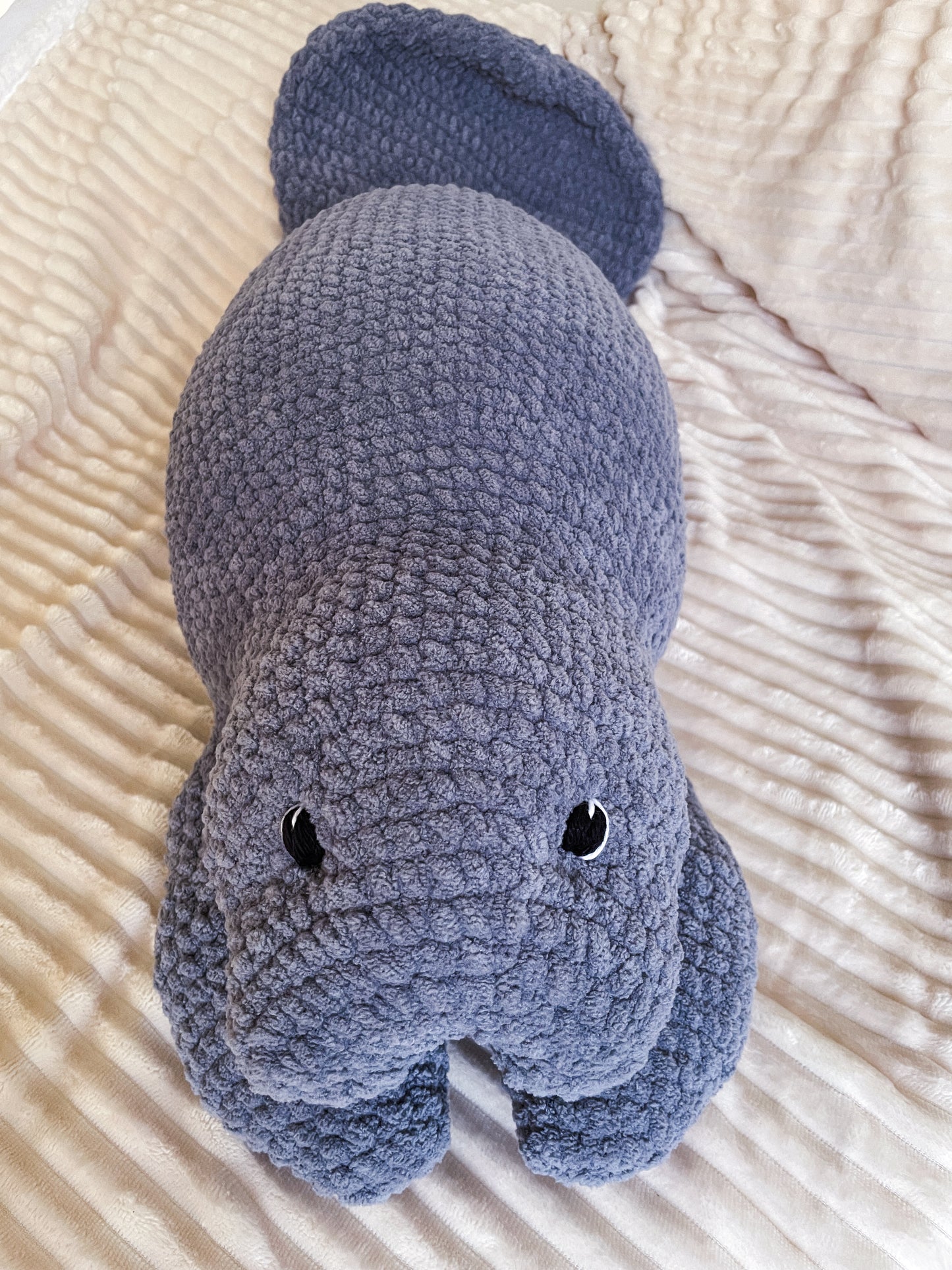 Made to Order - Miles Manatee