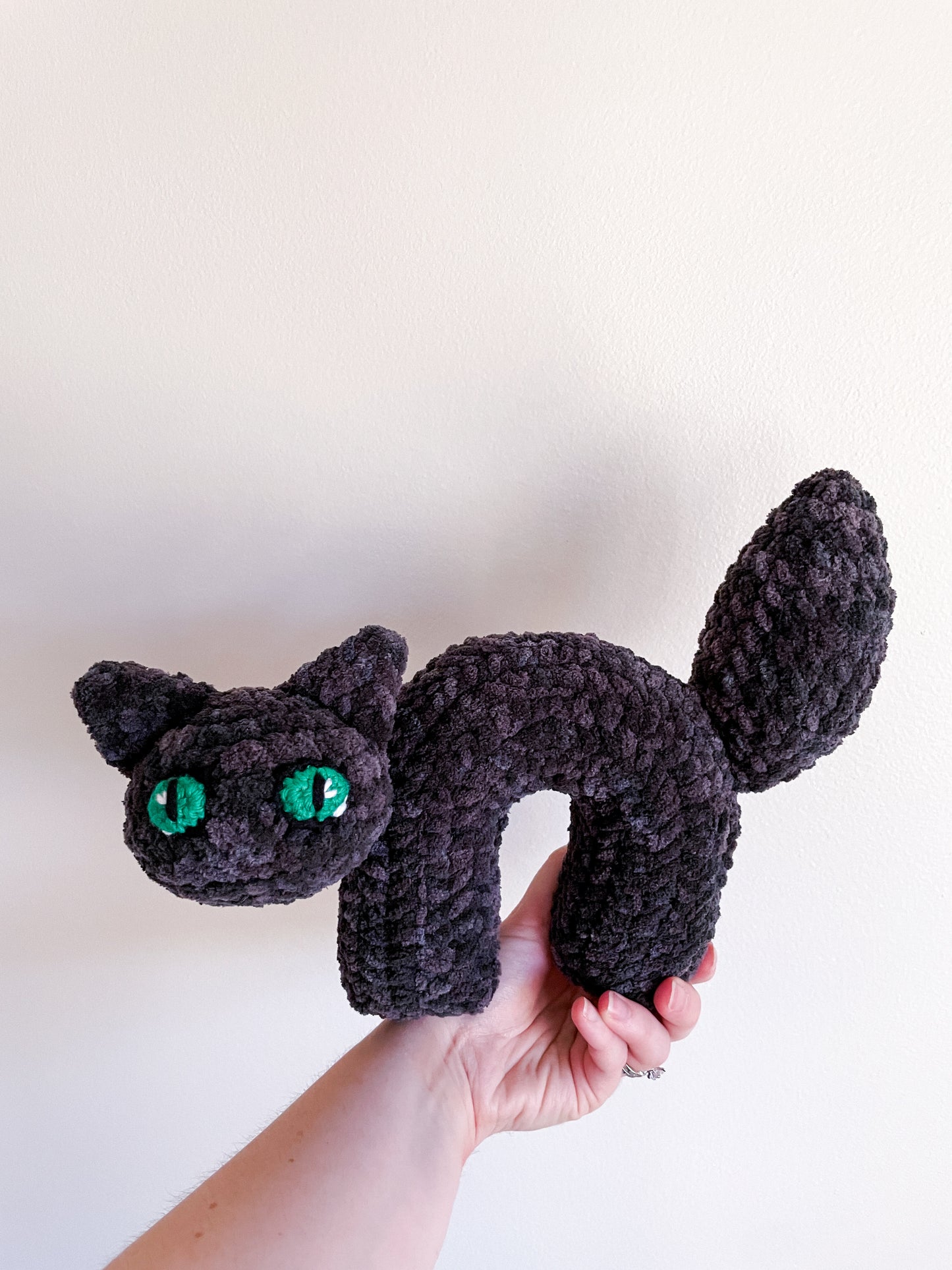 Scaredy Cat