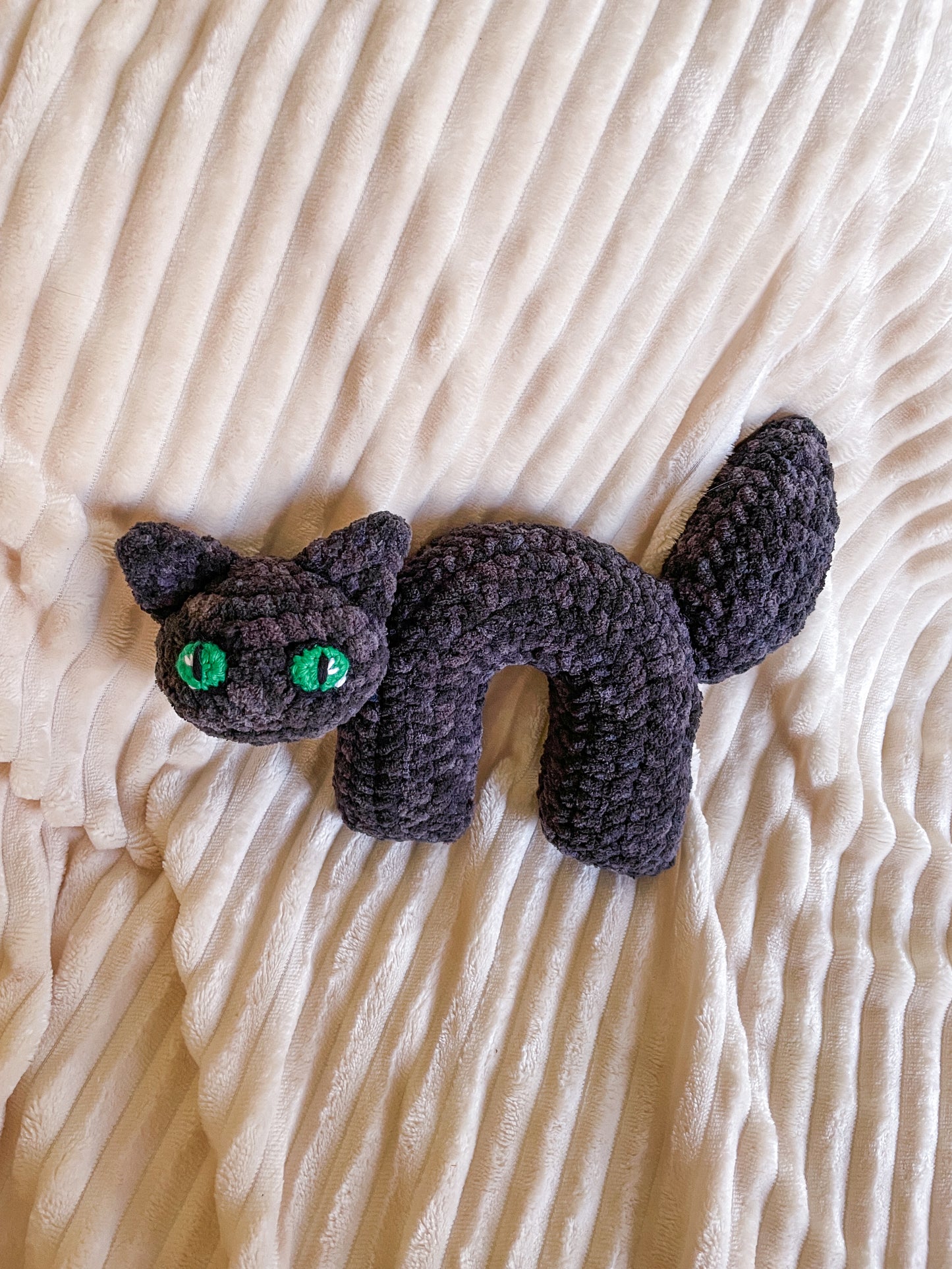 Scaredy Cat