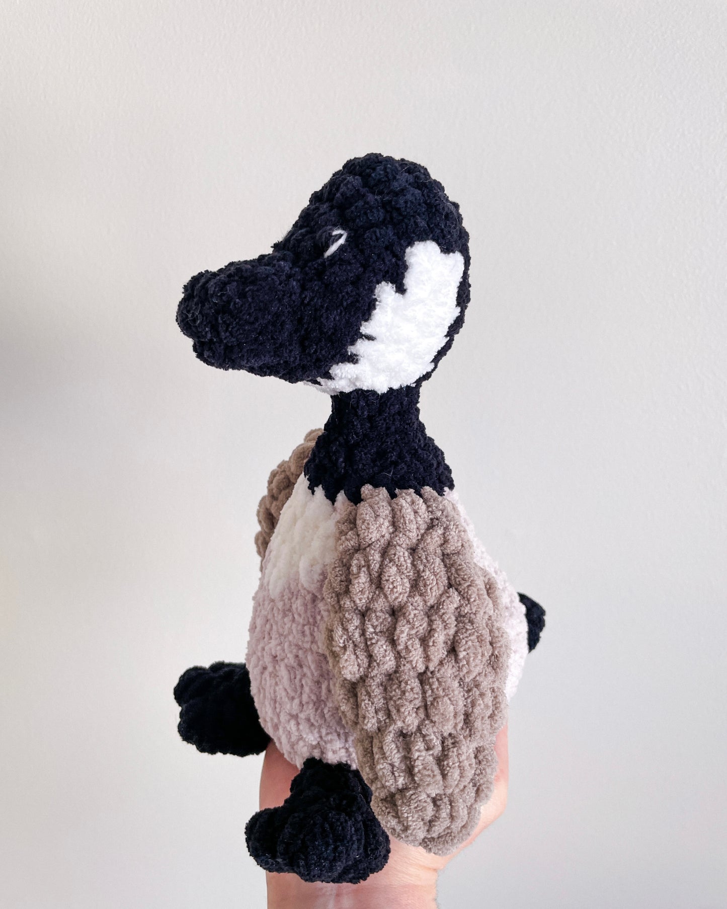 Canadian Goose