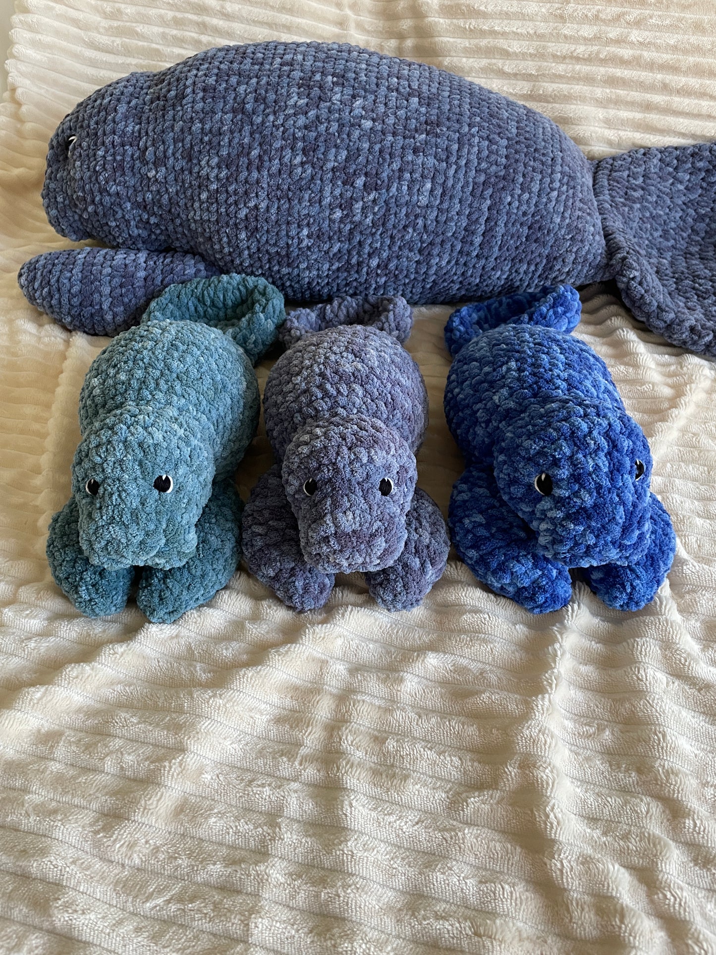 Milo Manatee