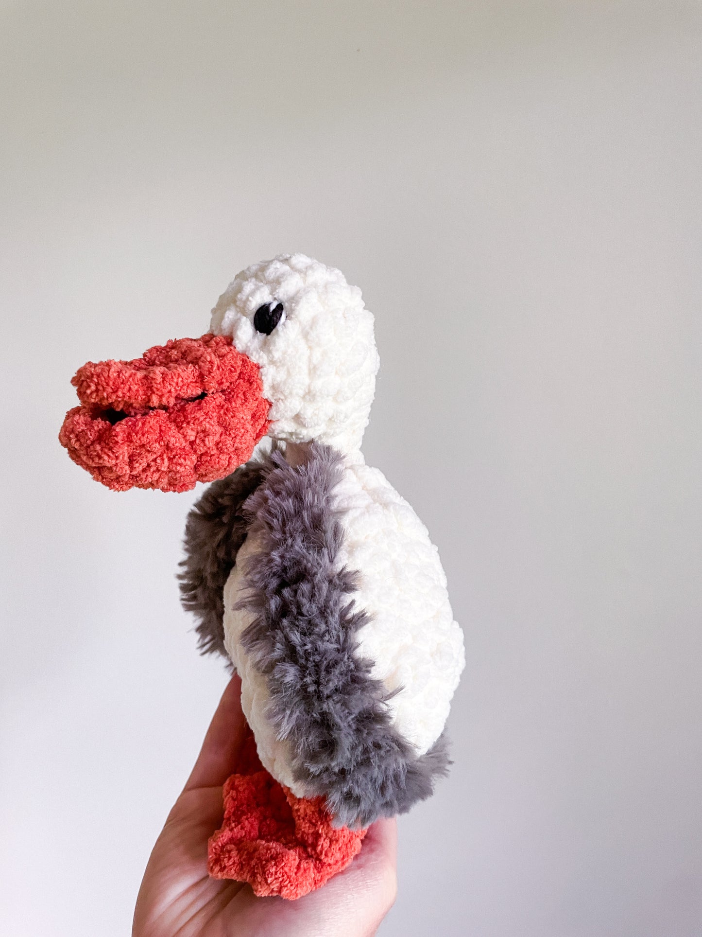 Pelican & Mini Goldfish