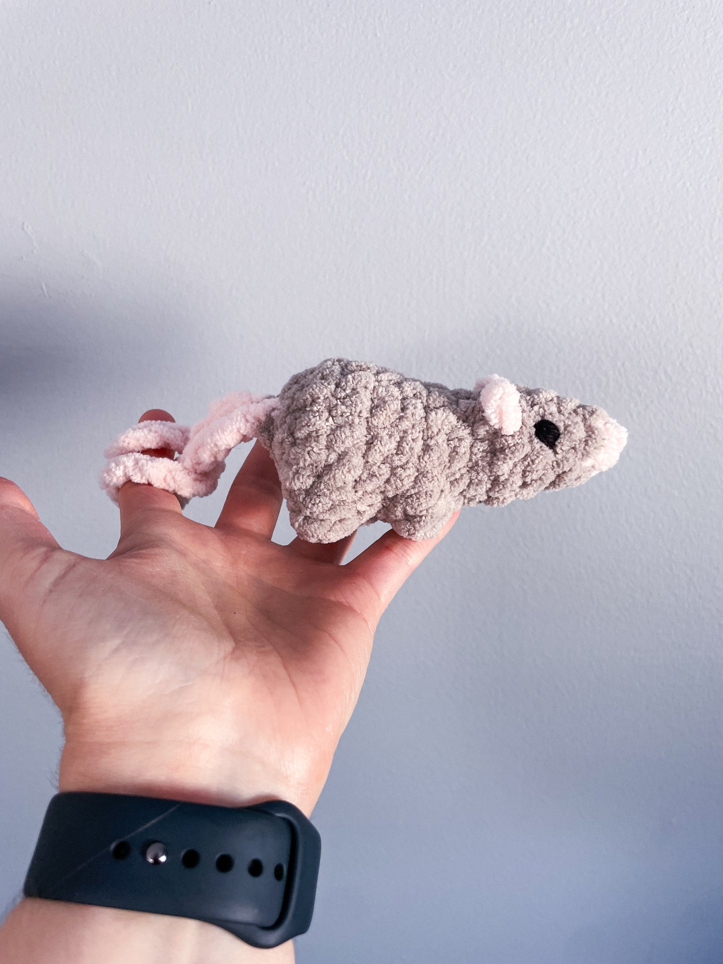 Baby Rat