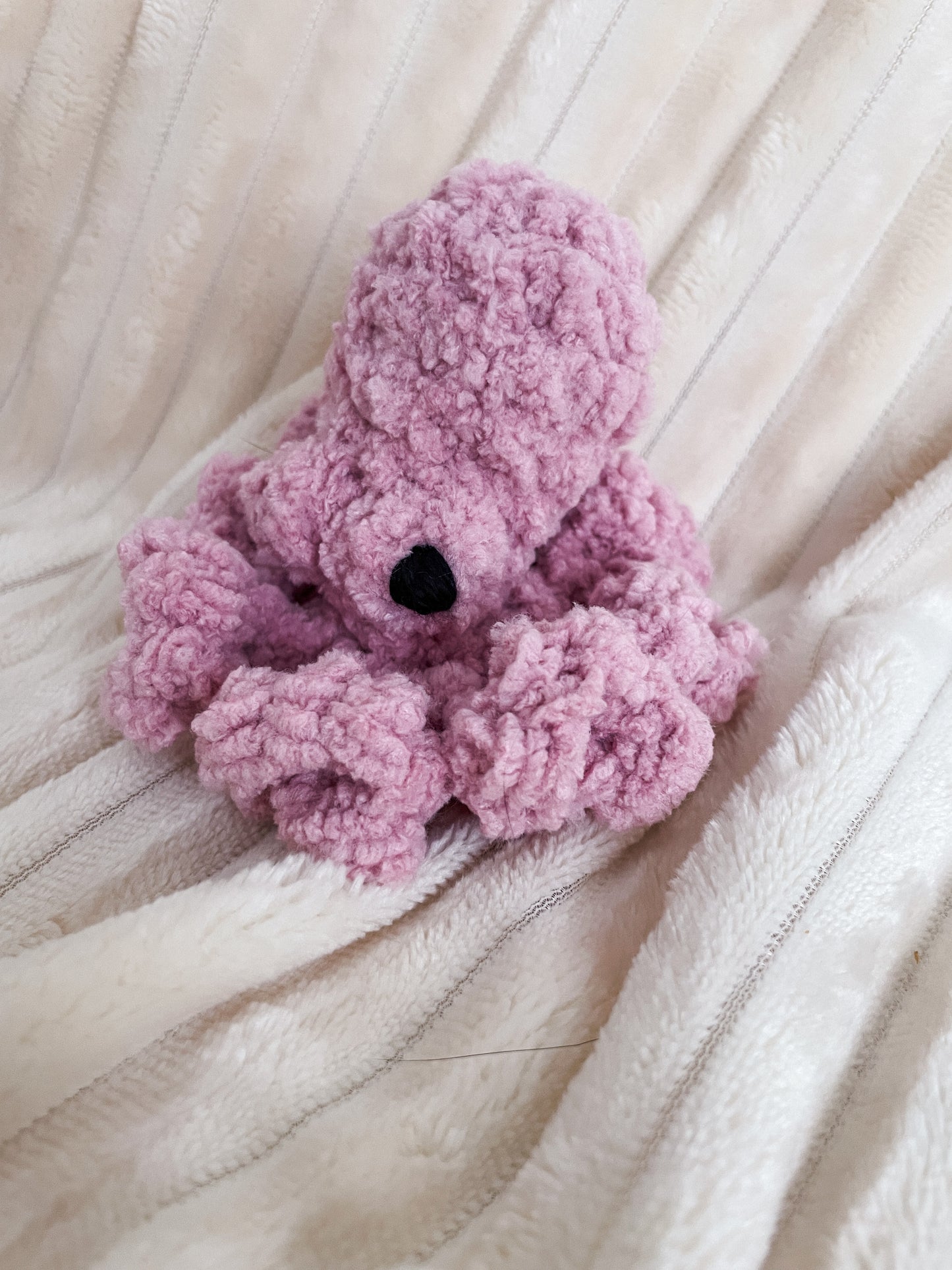 Baby Octopus