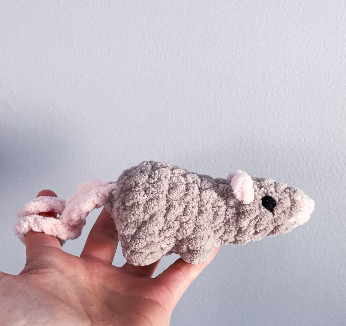 Baby Rat