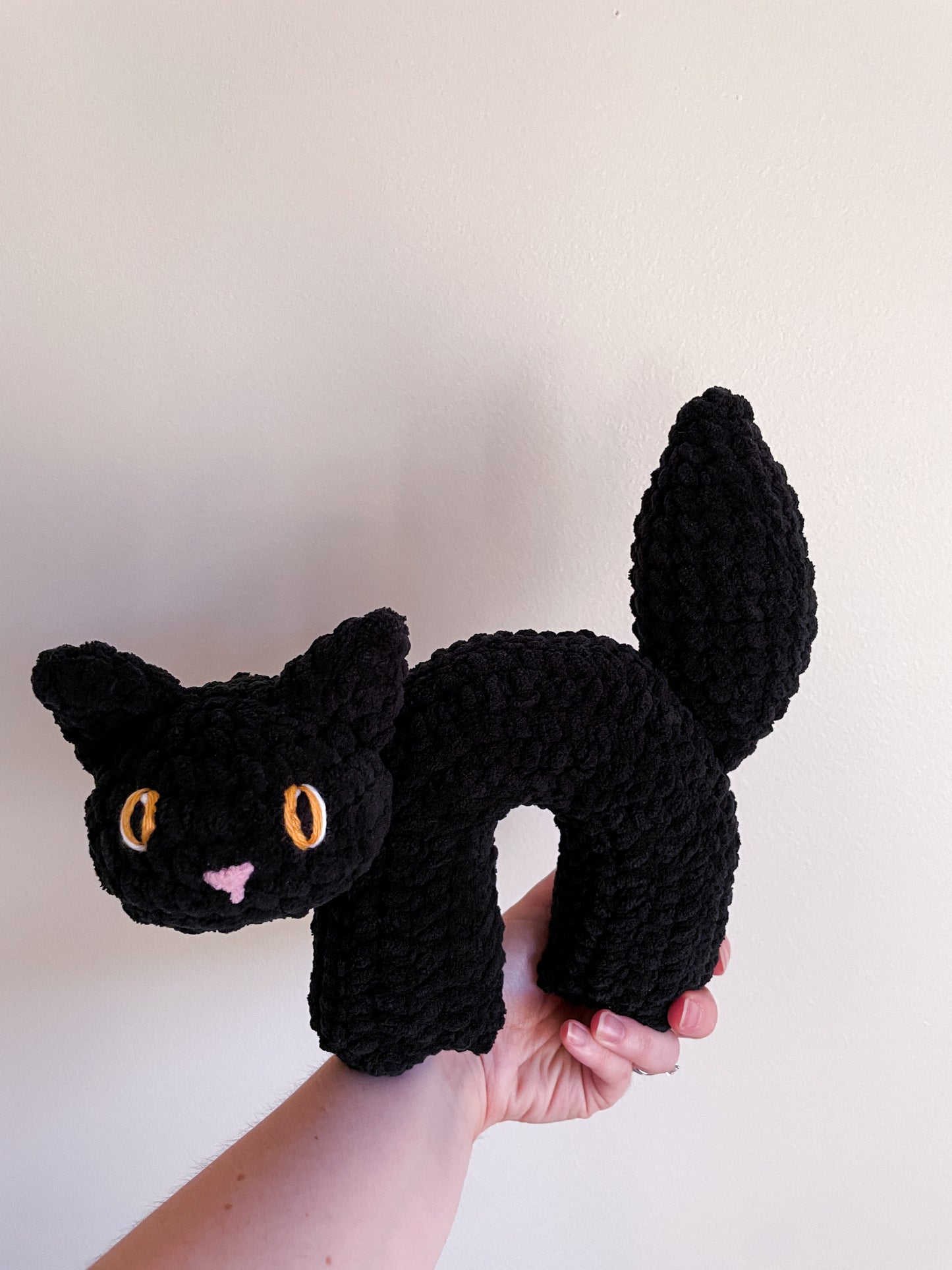 Scaredy Cat