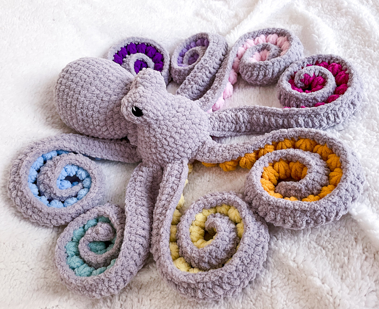 Giant Octopus