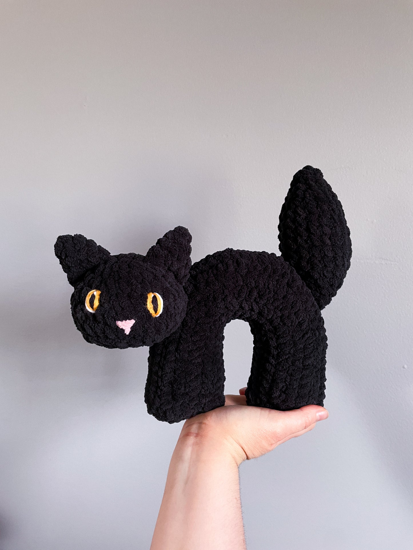 Scaredy Cat