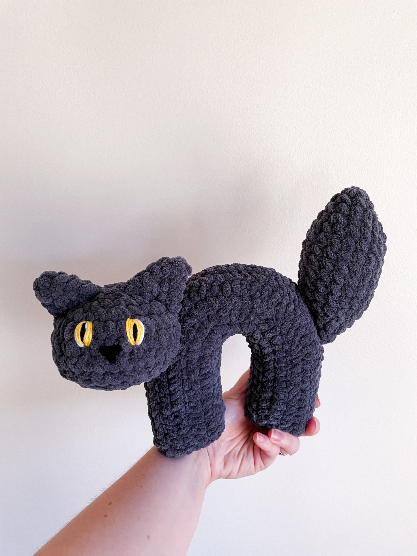 Scaredy Cat