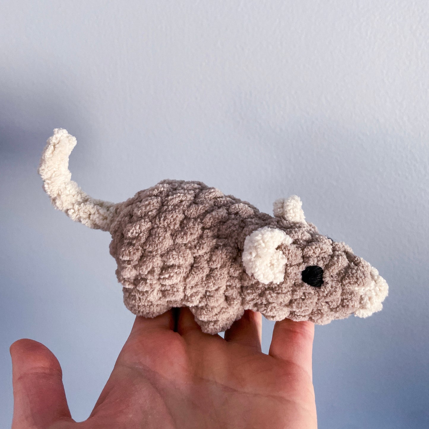 Baby Rat