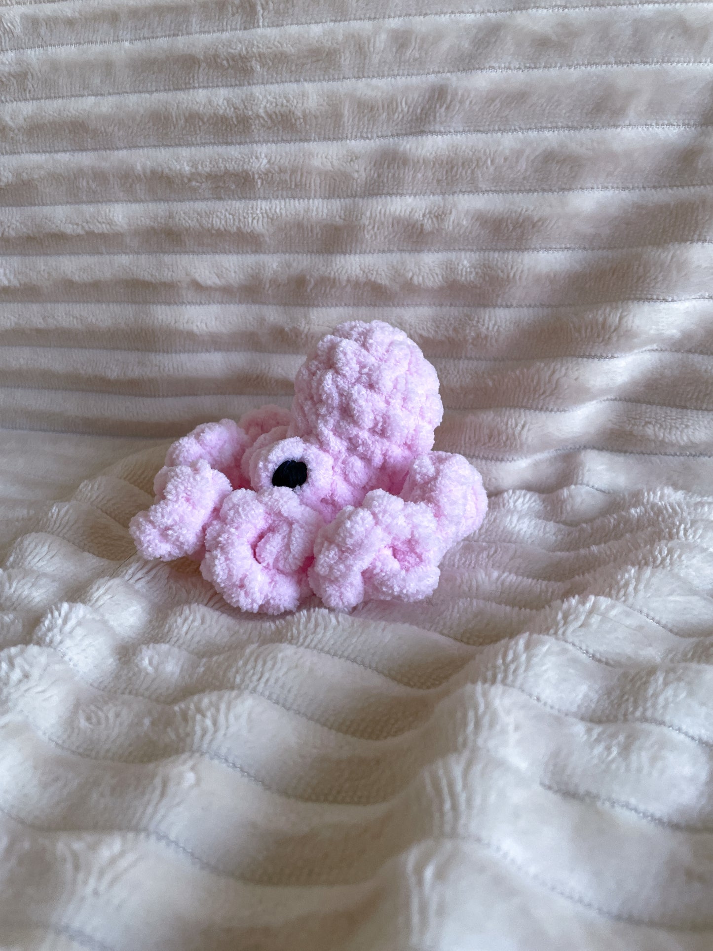 Baby Octopus