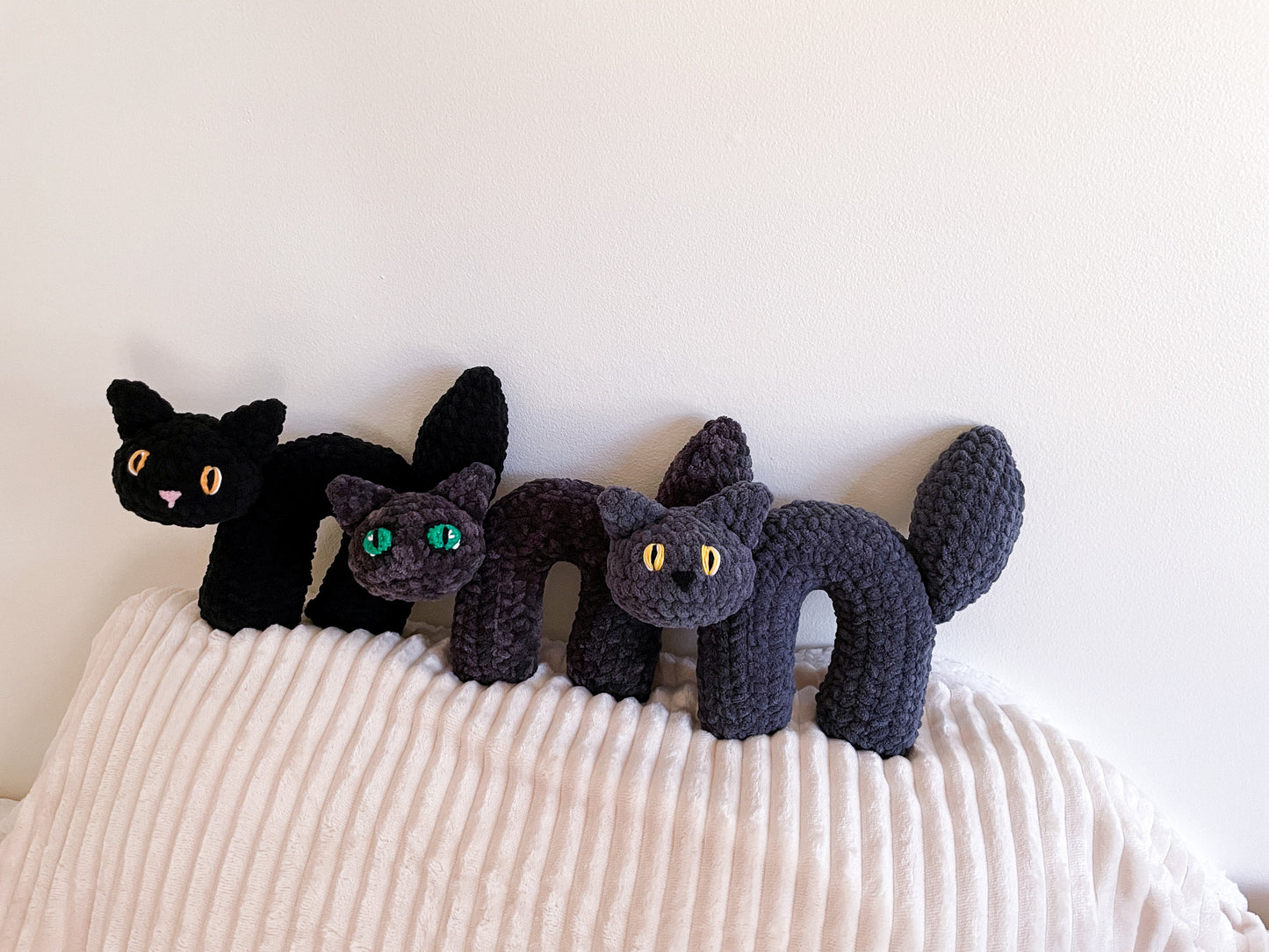 Scaredy Cat