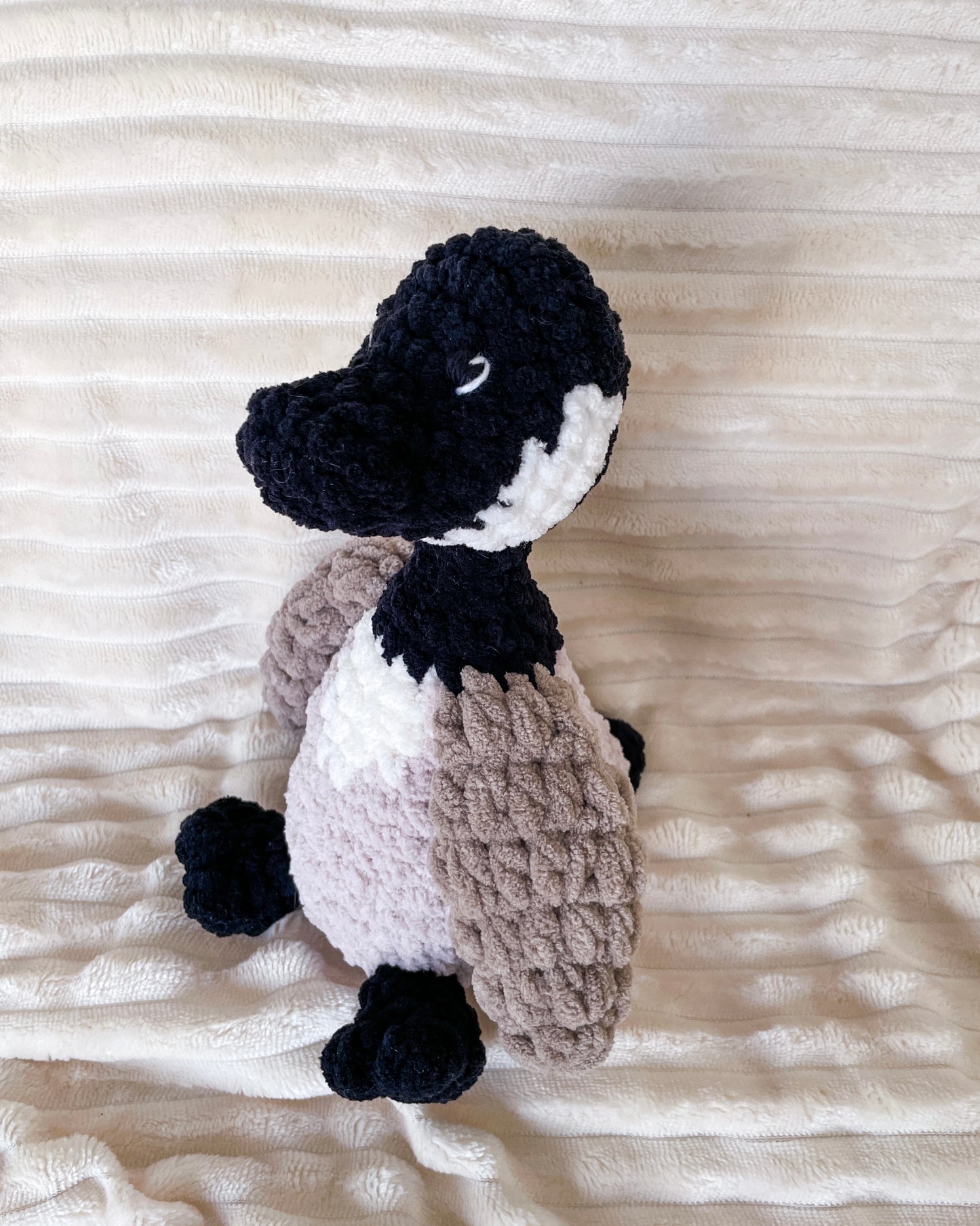 Canadian Goose