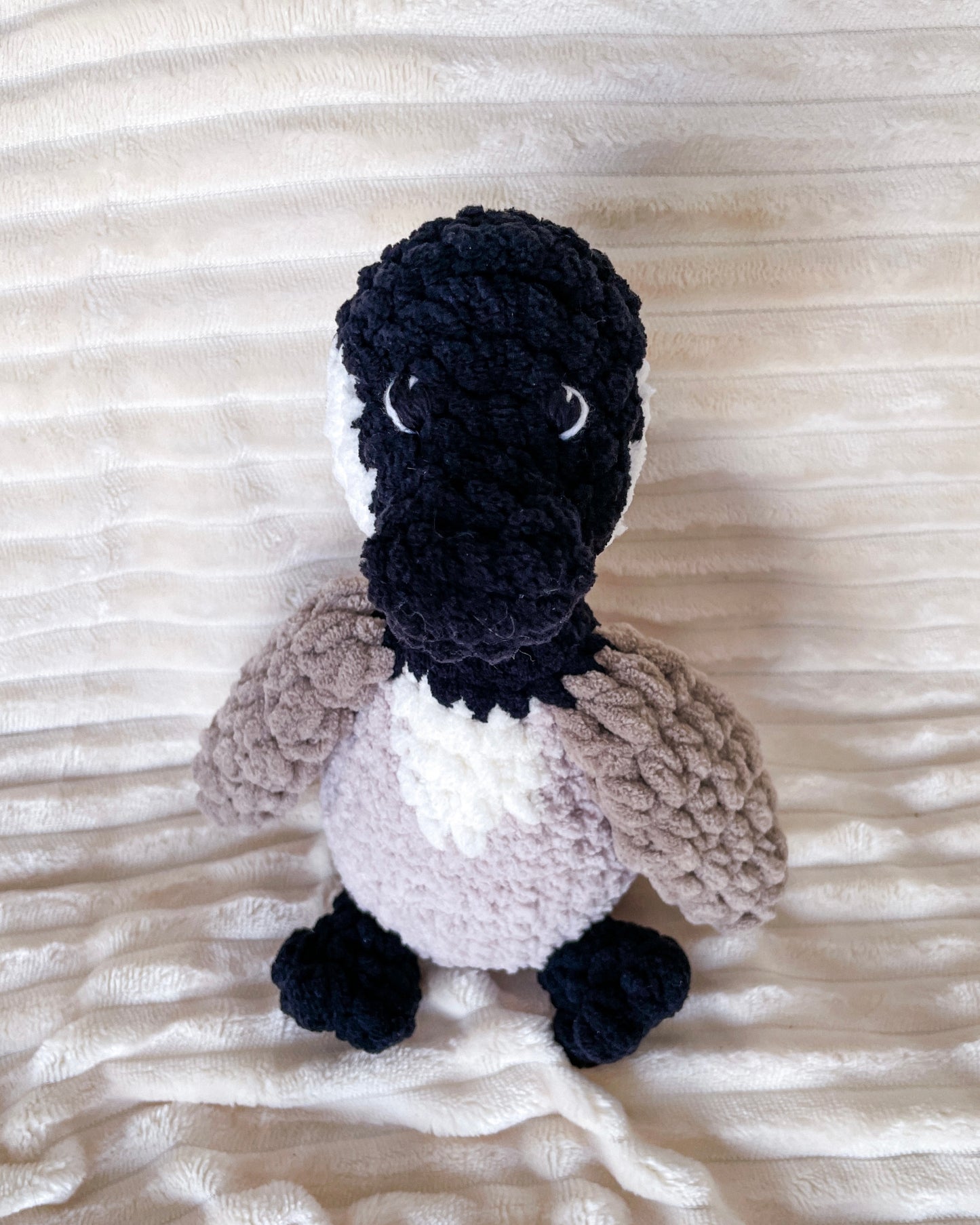 Canadian Goose