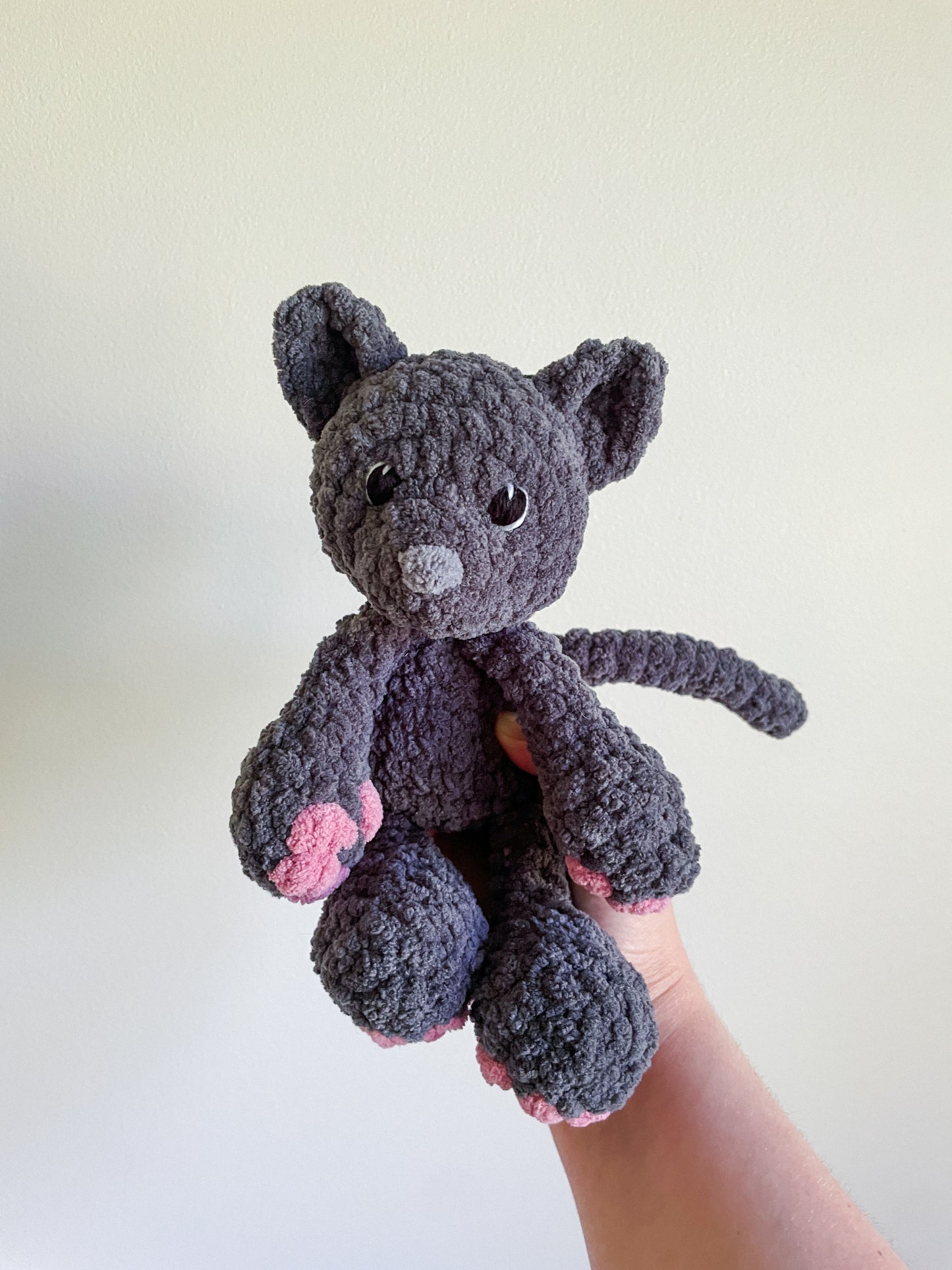 Kitten