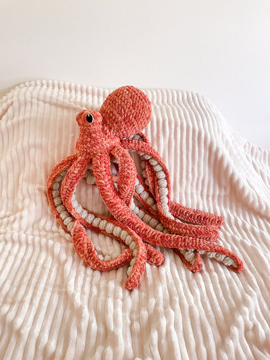 Giant Octopus