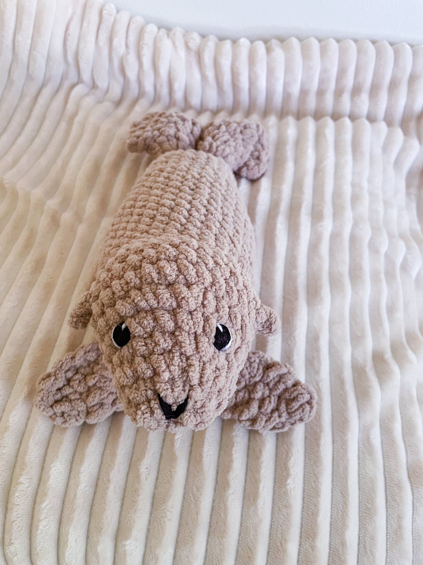 Lucia Sea Lion