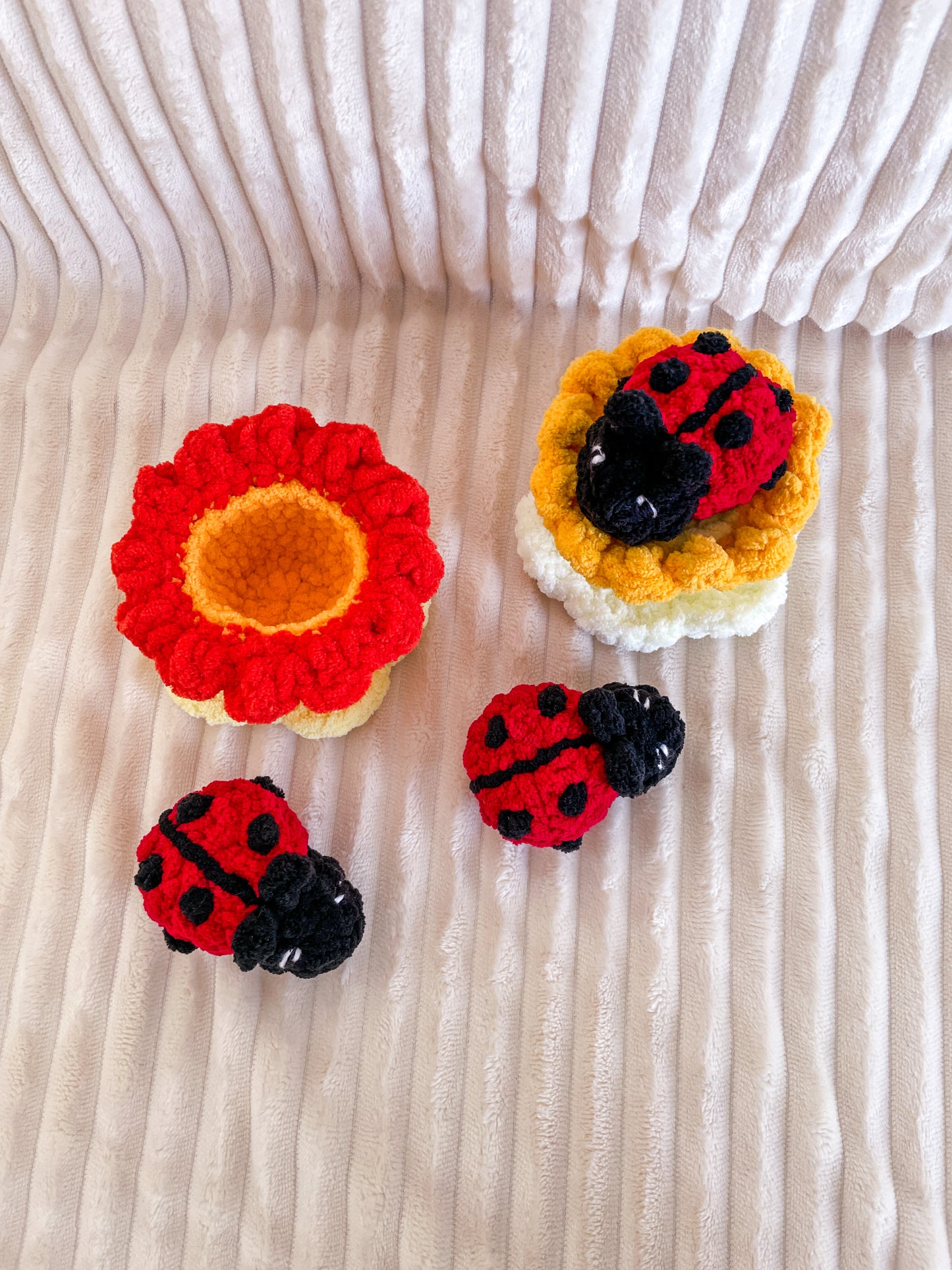 Ladybug / Ladybug pop