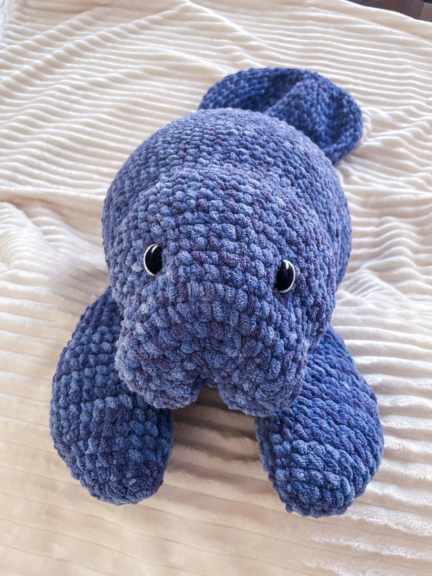 Made to Order - Miles Manatee