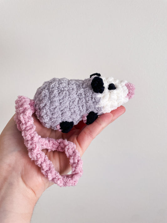 Baby Opossum