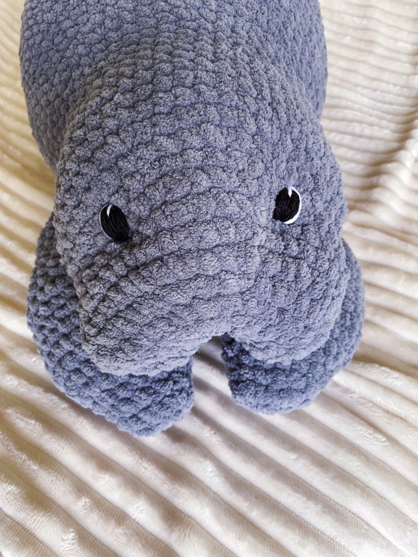 Made to Order - Miles Manatee