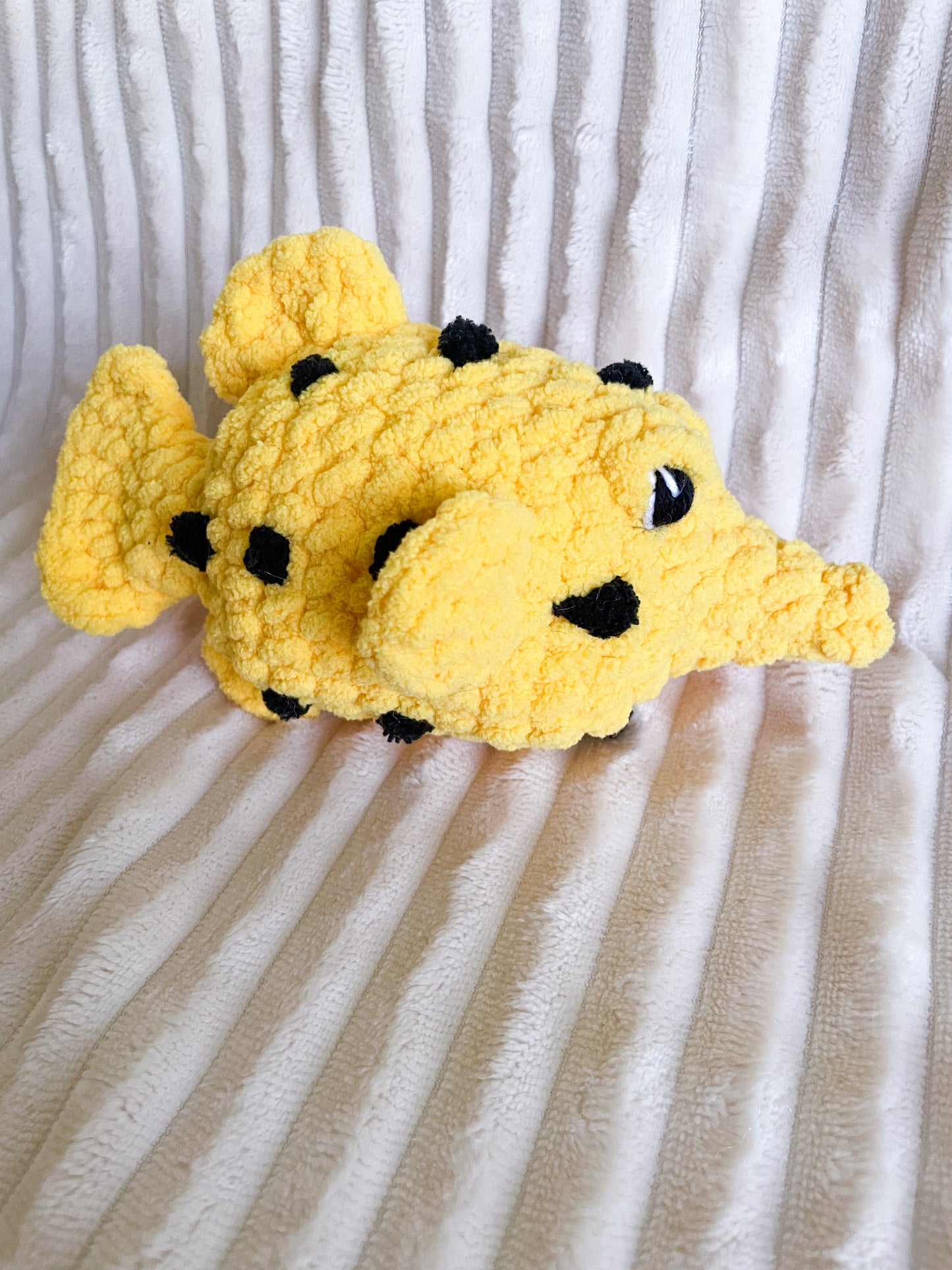 Boxfish