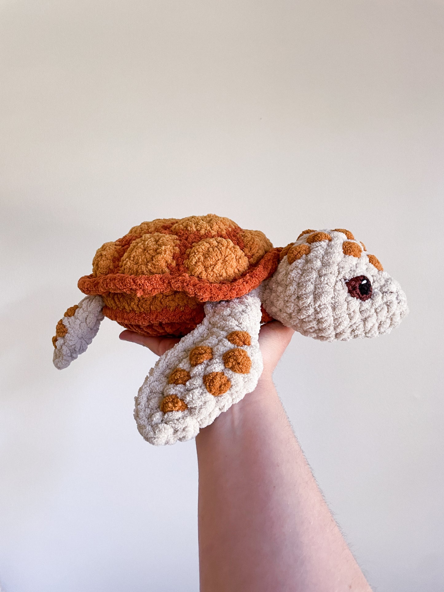 Sea Turtle