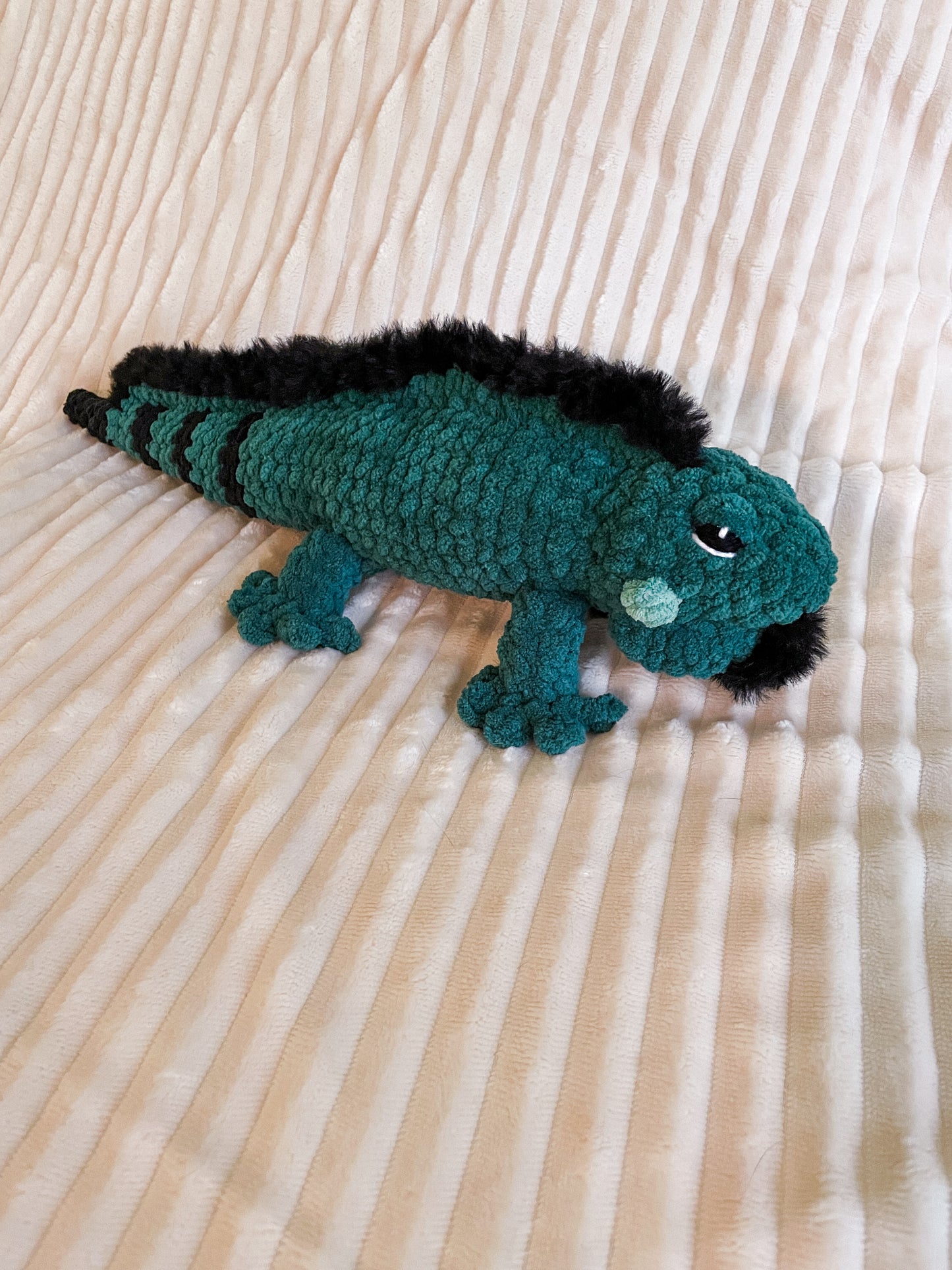 Iguana