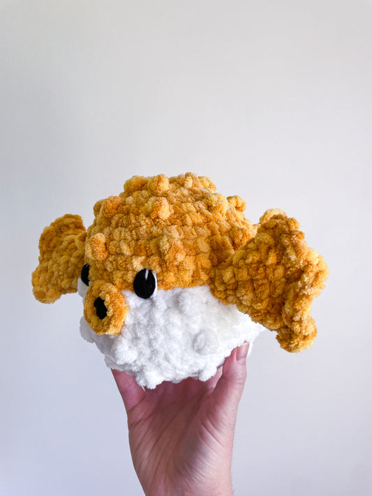 Puffer Fish