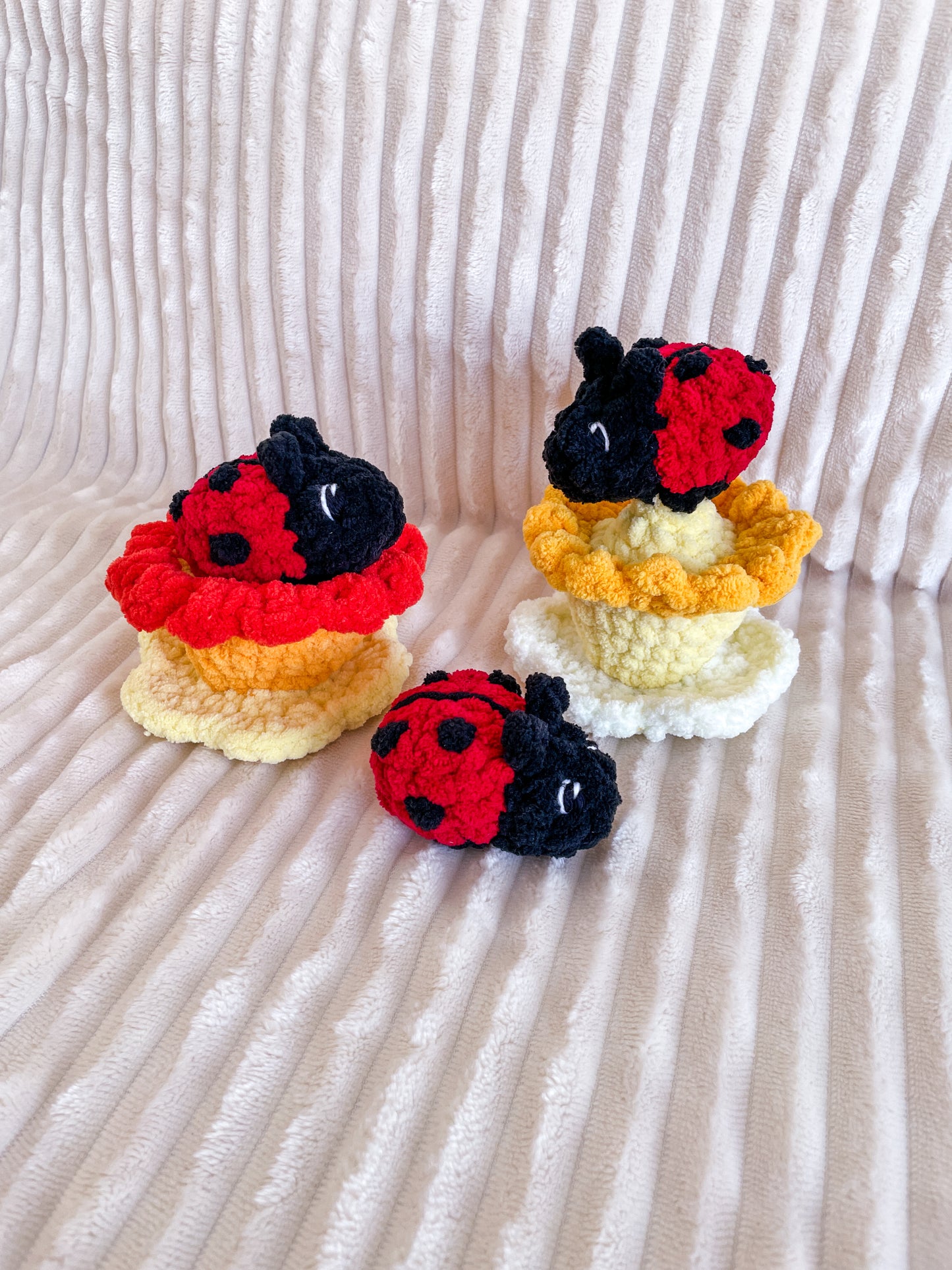 Ladybug / Ladybug pop