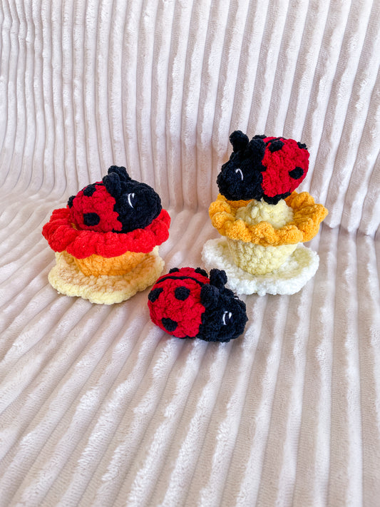 Ladybug / Ladybug pop