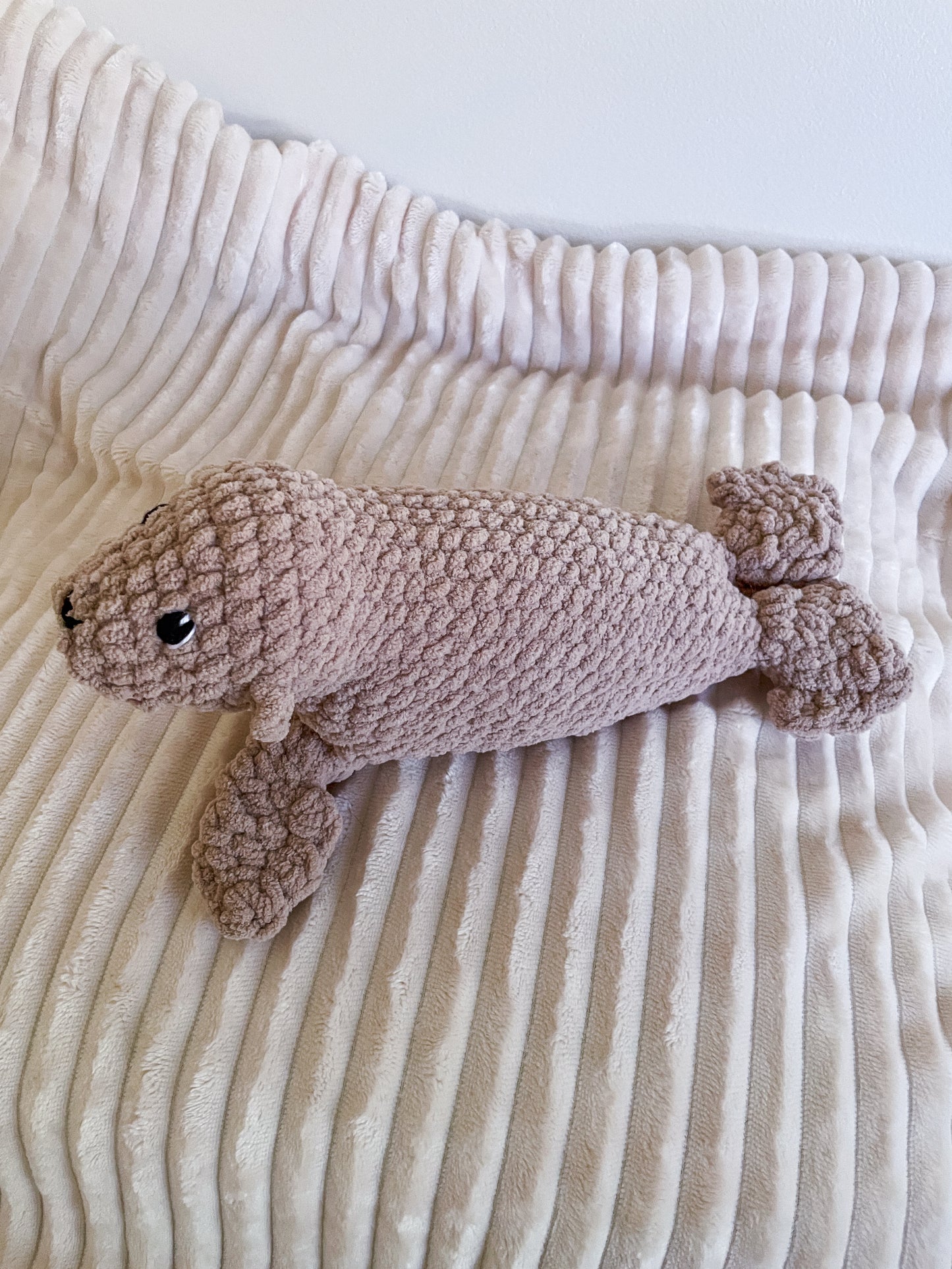 Lucia Sea Lion