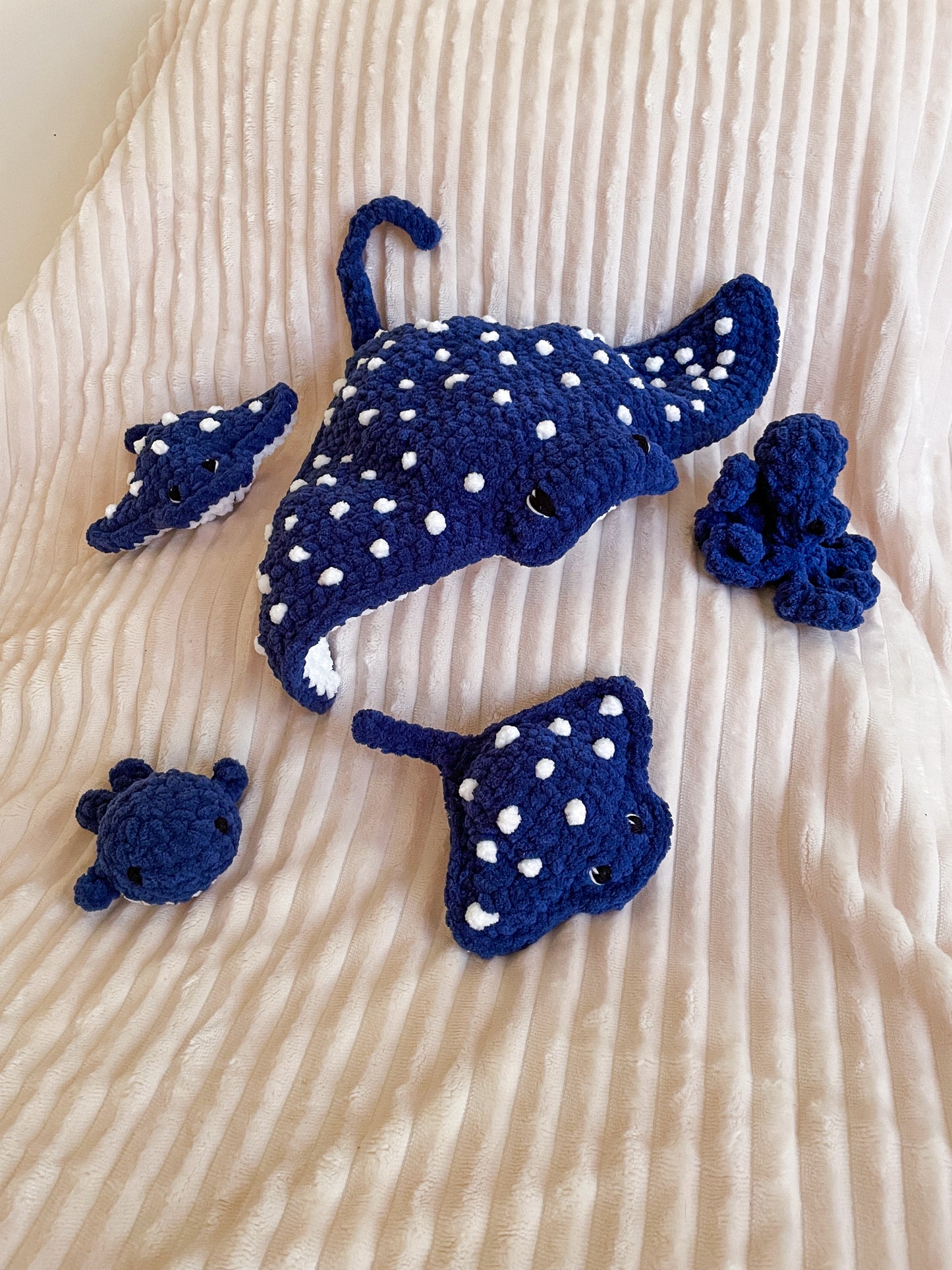 Baby Spotted Eagle Ray