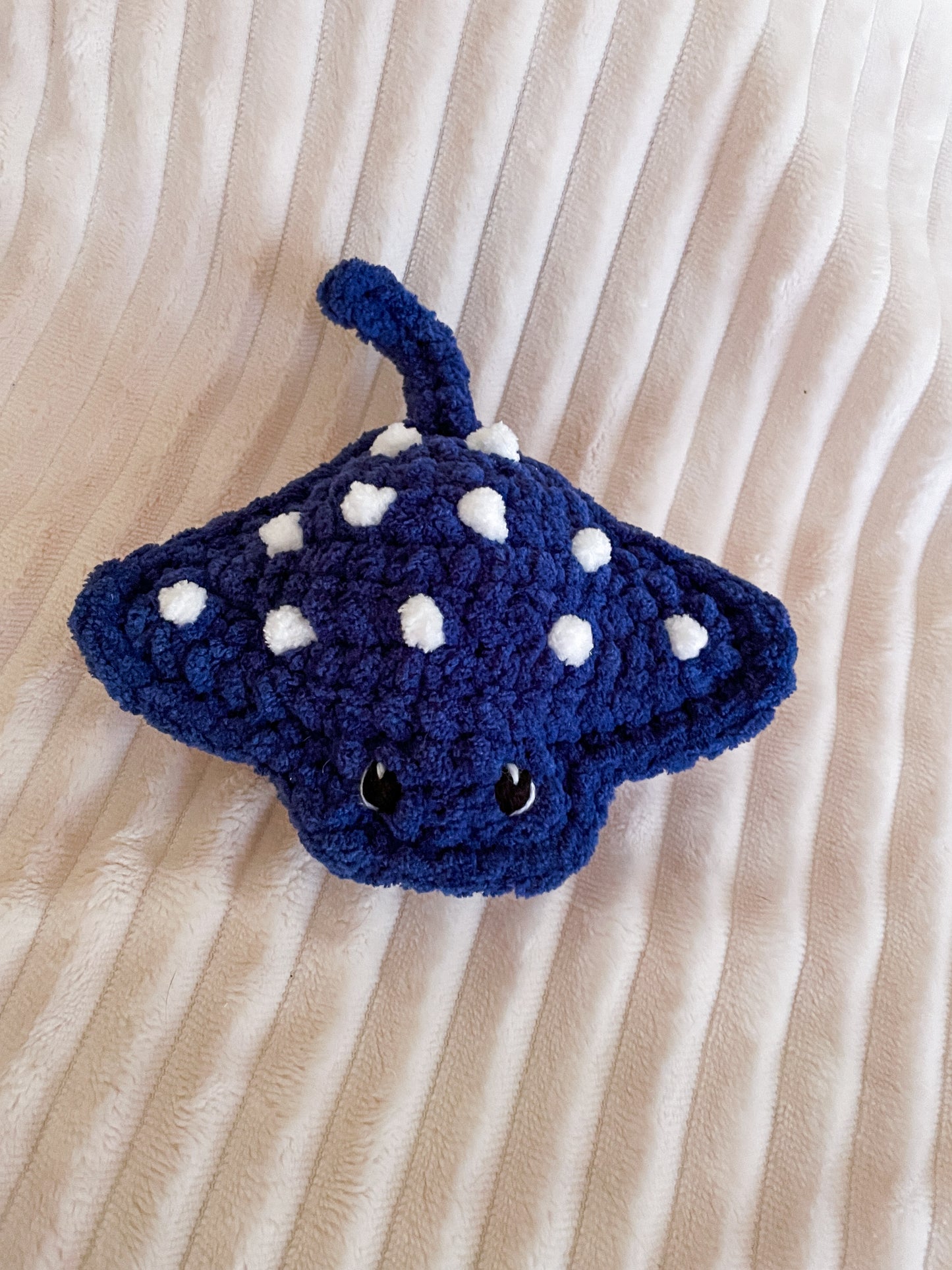 Baby Spotted Eagle Ray