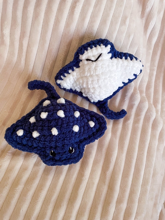 Baby Spotted Eagle Ray